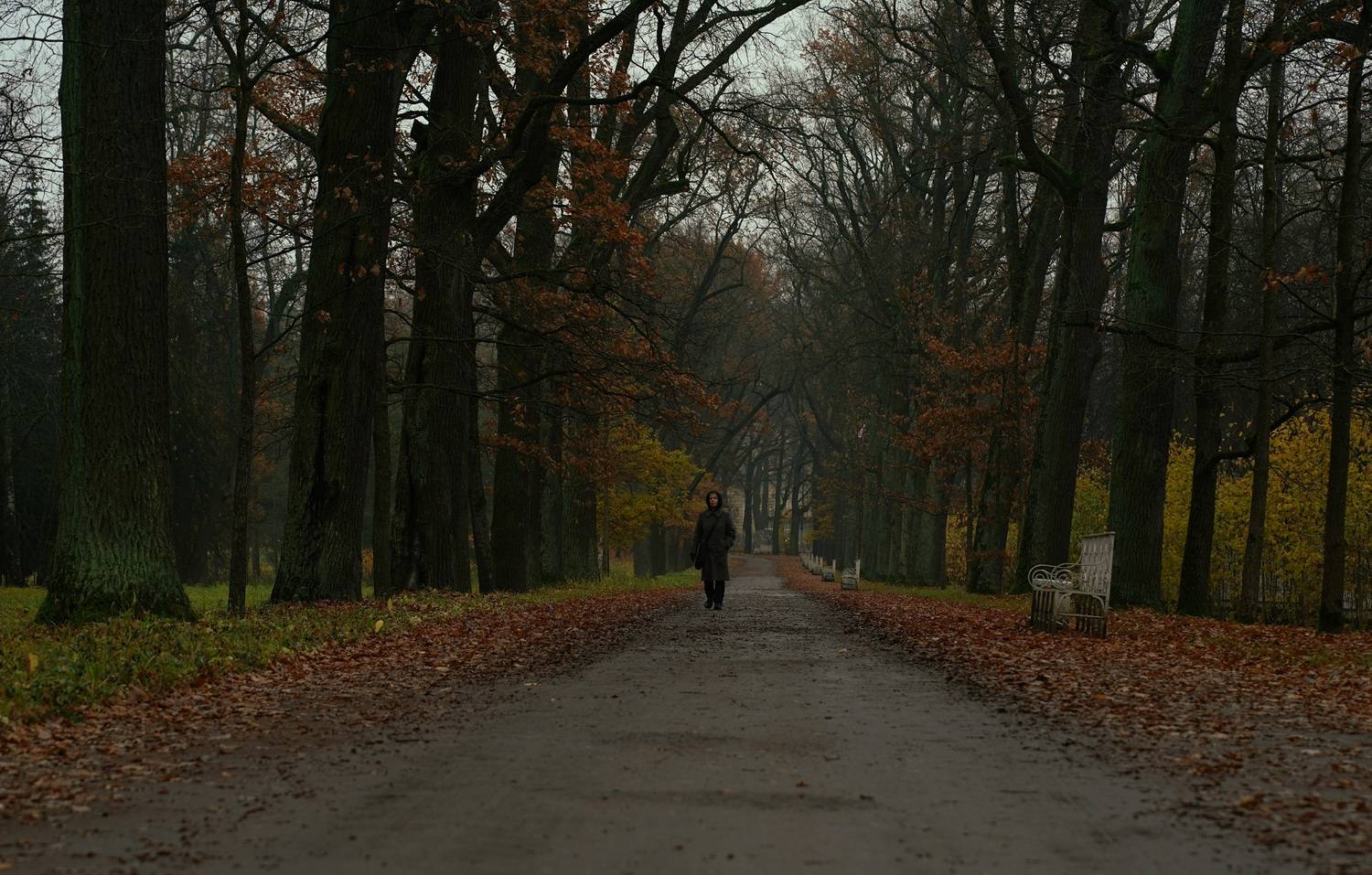 ,  Сергей Андреевич