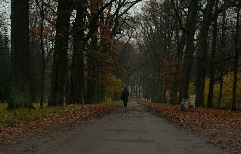 The first morning in November фото превью