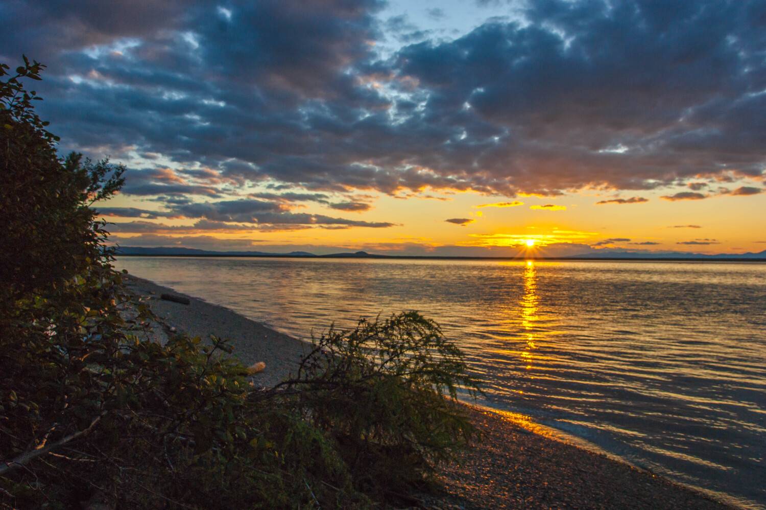, Андрей Загребельный