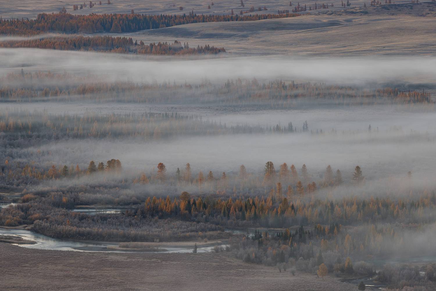 алтай, горный алтай, курай, курайская степь, рассвет, туман, степь, Морозов Сергей