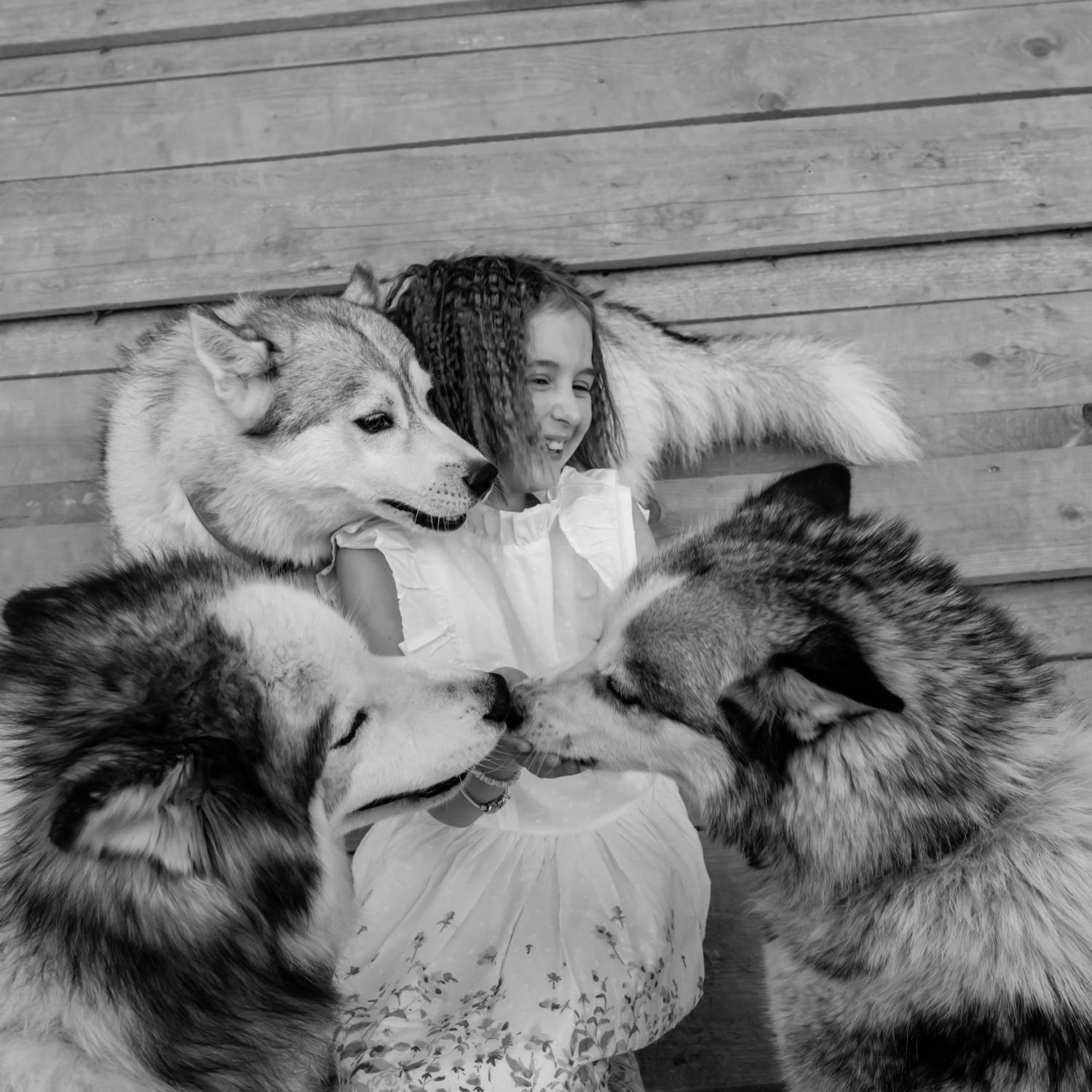 , Шилов Александр