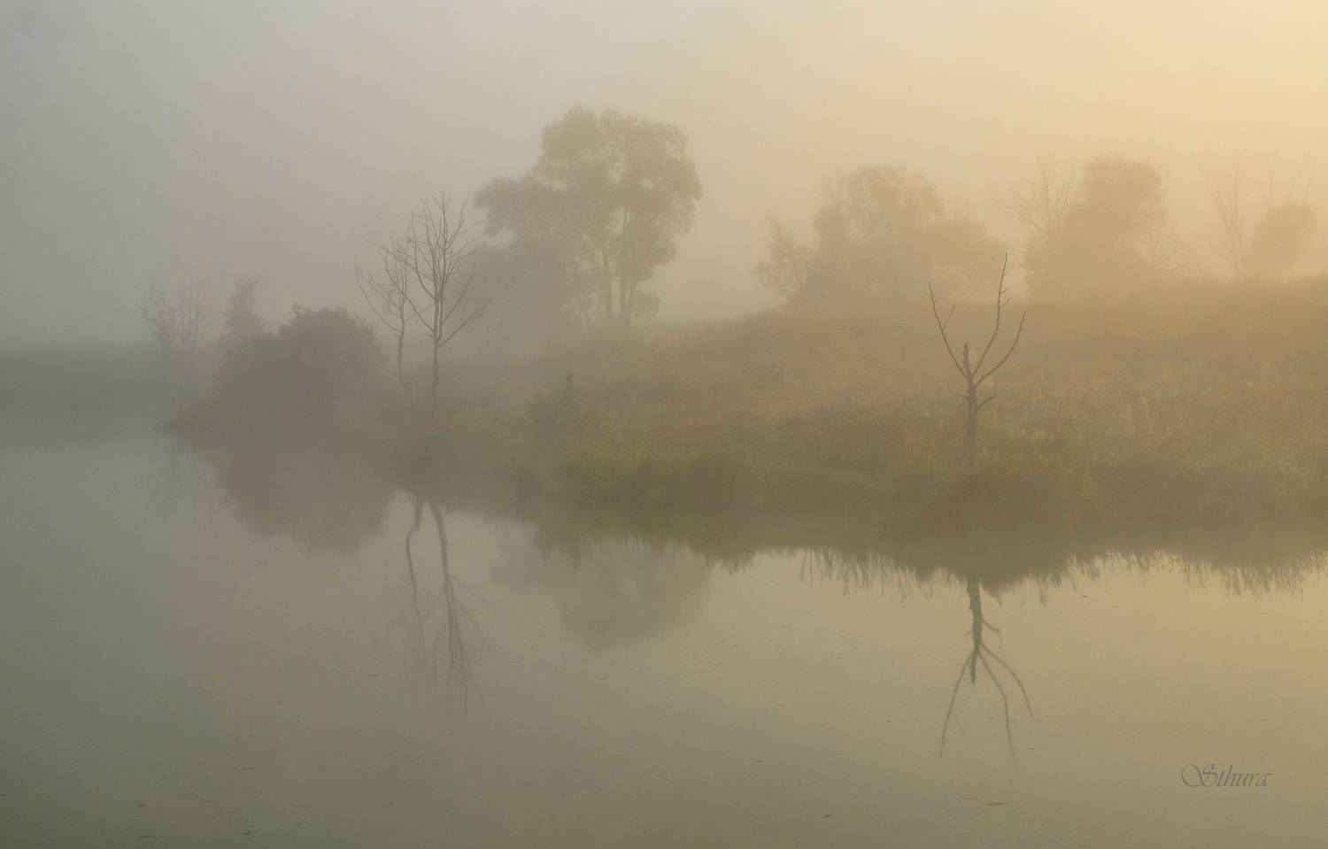 лето озеро рассвет туман природа пейзаж, Александр Строков