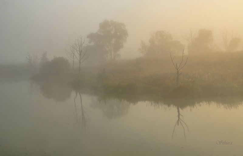 лето озеро рассвет туман природа пейзаж Рассвет в тумане. фото превью