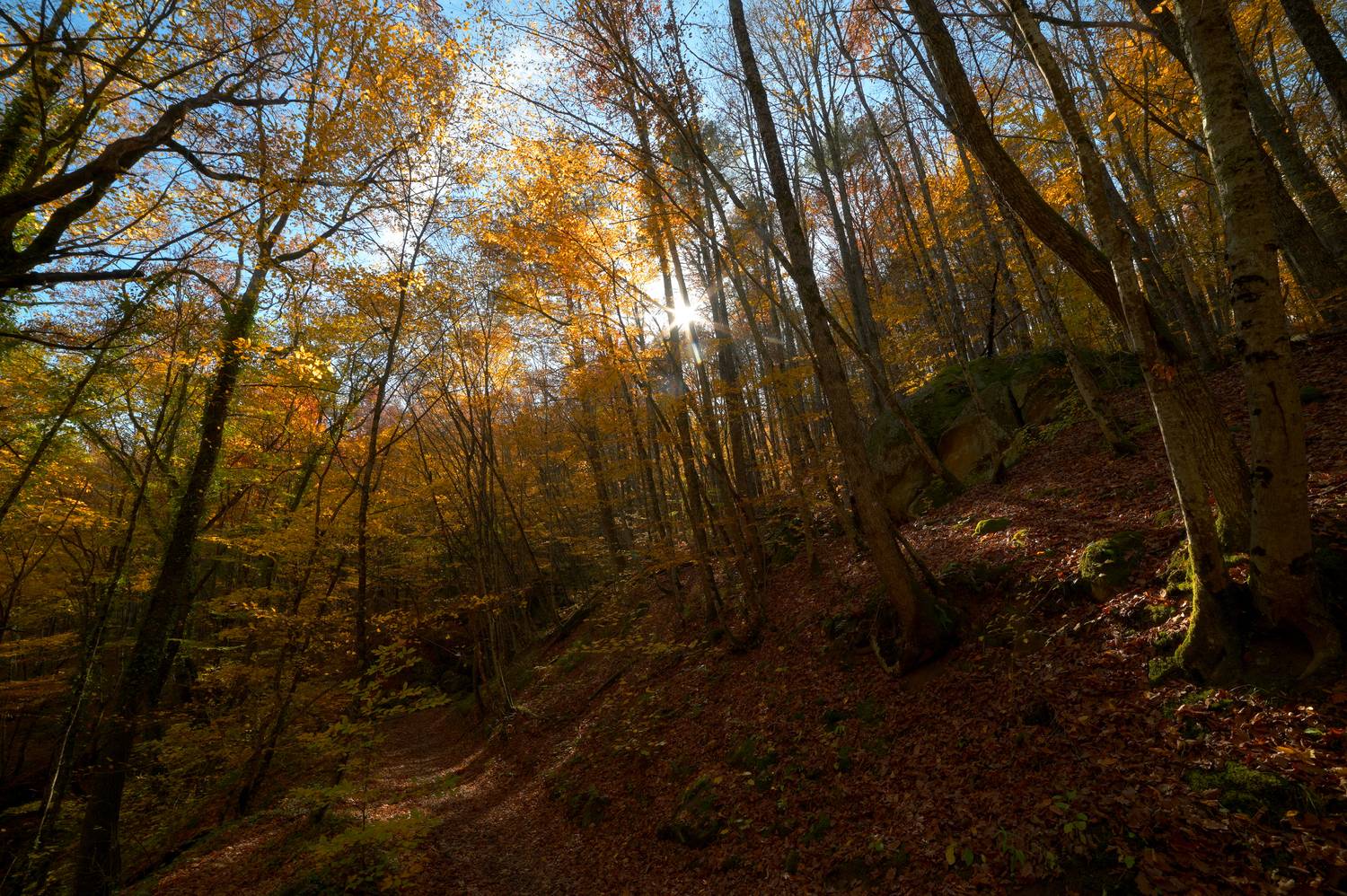 , Сергей Тихомиров