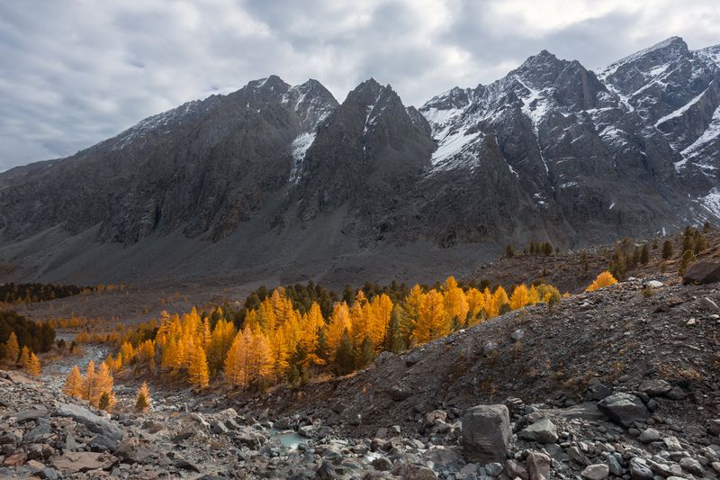 алтай, республика алтай, горы, северо-чуйский, хребет, актру Сусальным золотом горят фото превью