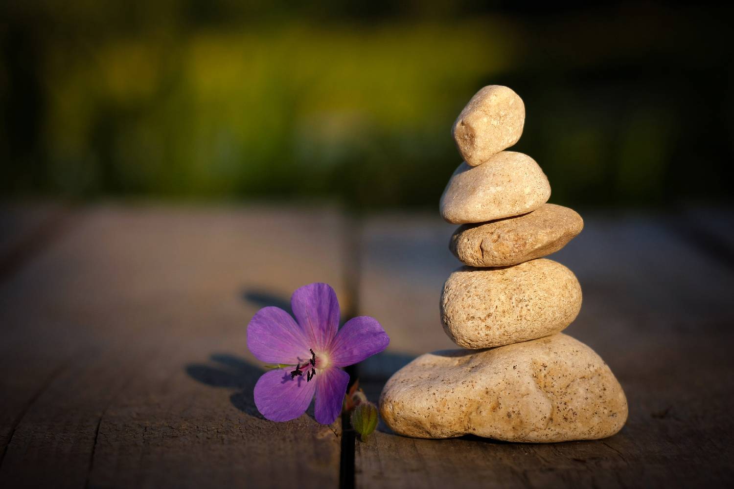 , Александр Азаренков