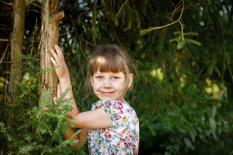 Девочка в хвойном лесу фото превью