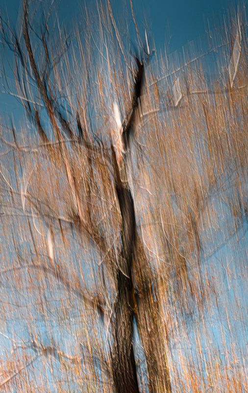 осень, природа, icm Феникс фото превью