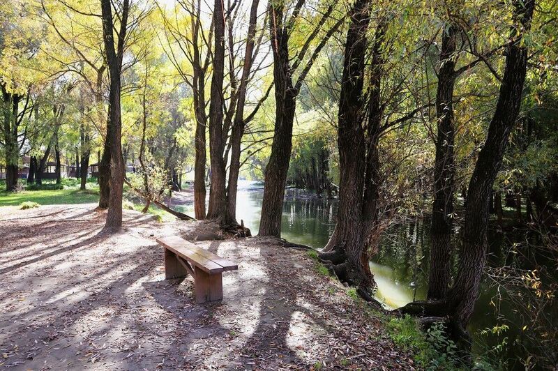 тени,деревья,осень,скамейка,природа Осень: свет и тени фото превью