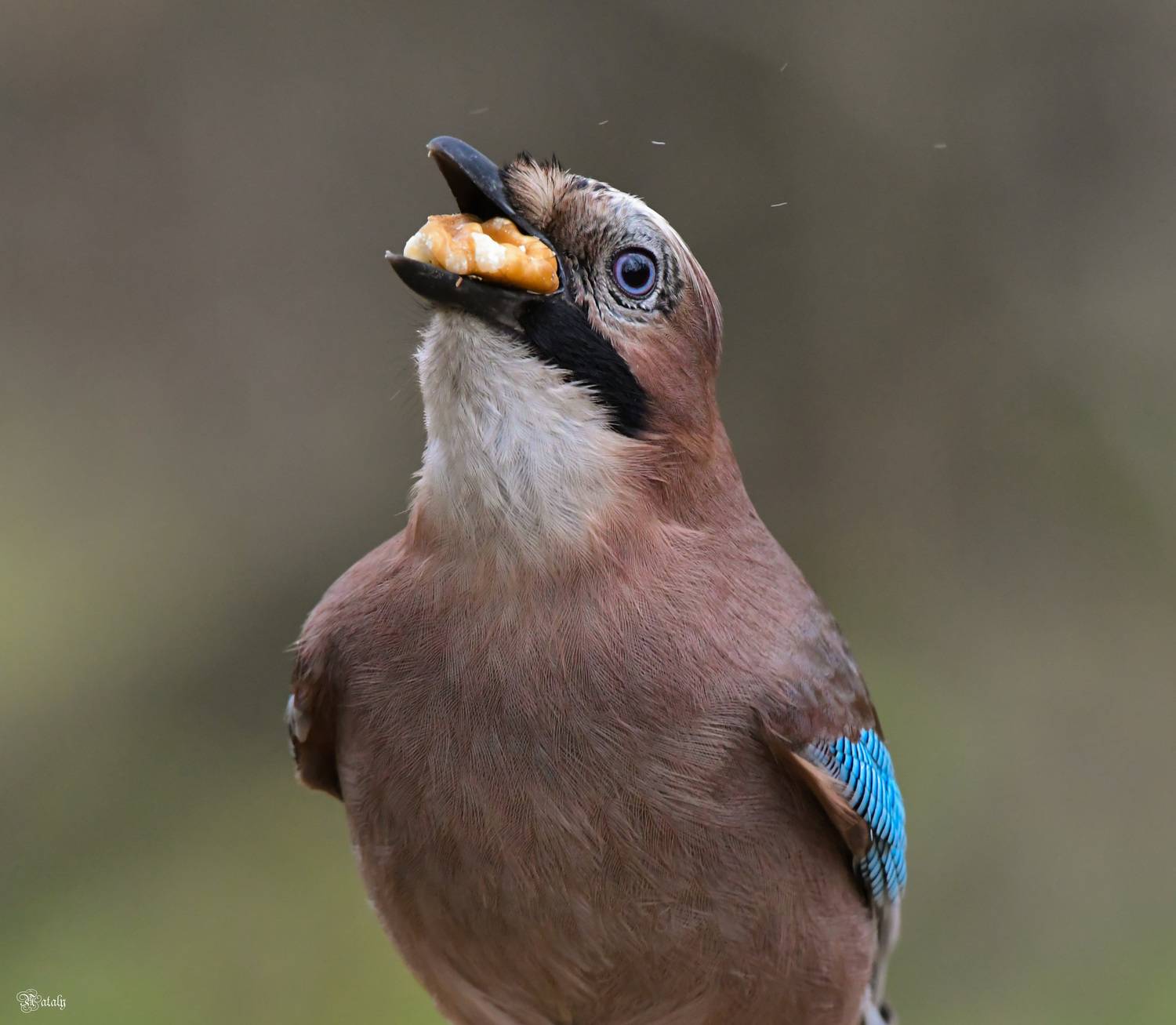 , Наталья Екимова