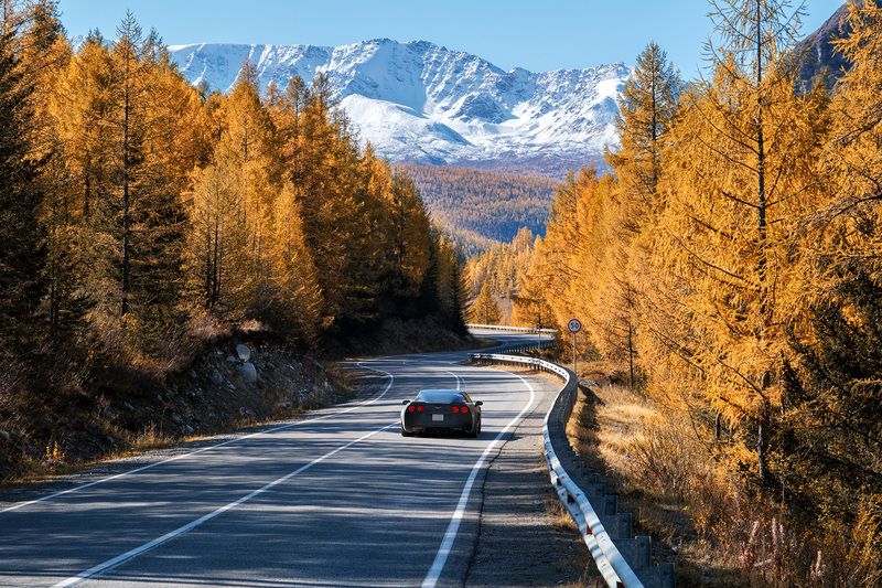 Без цели, без плана фото превью