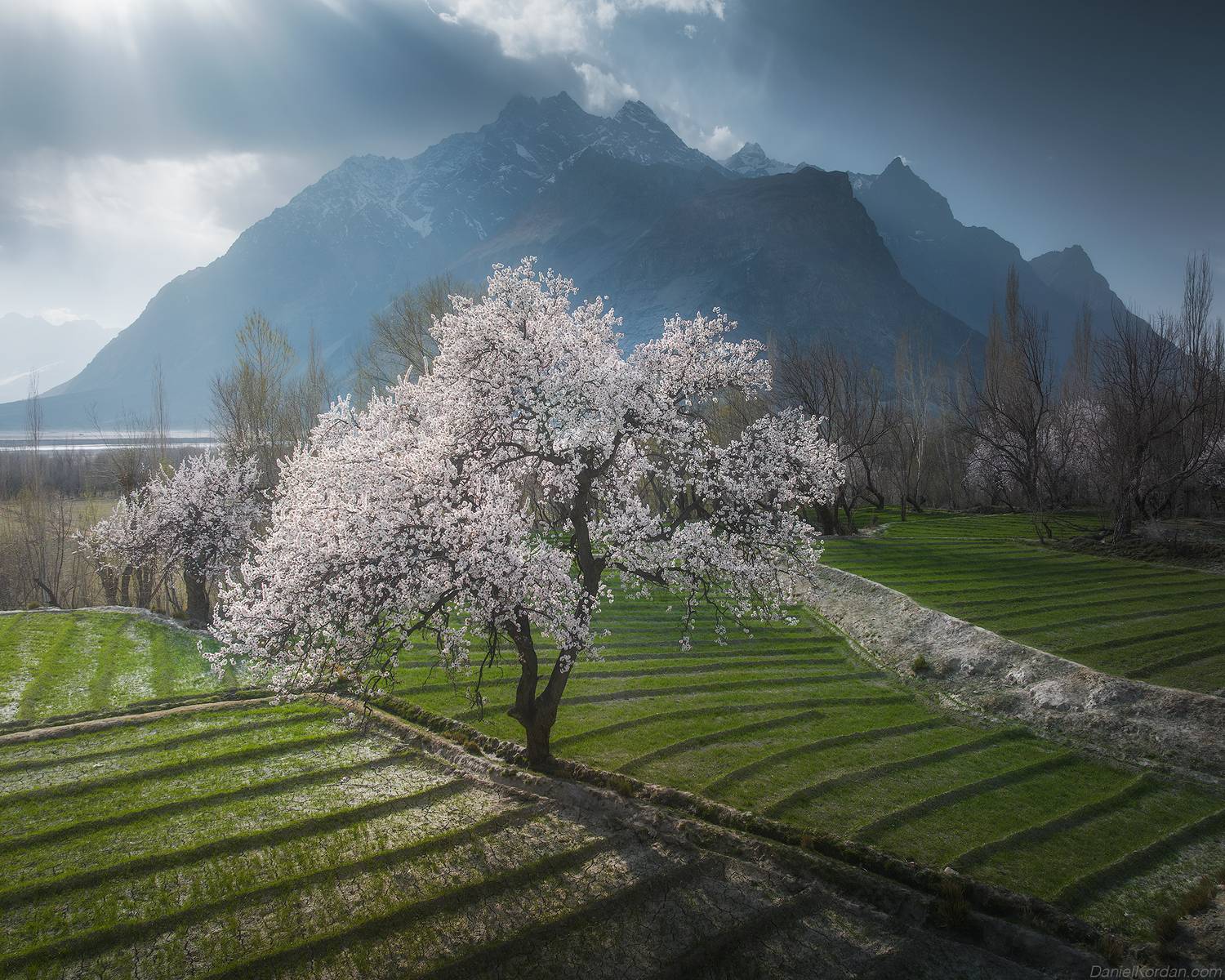 , Даниил Коржонов