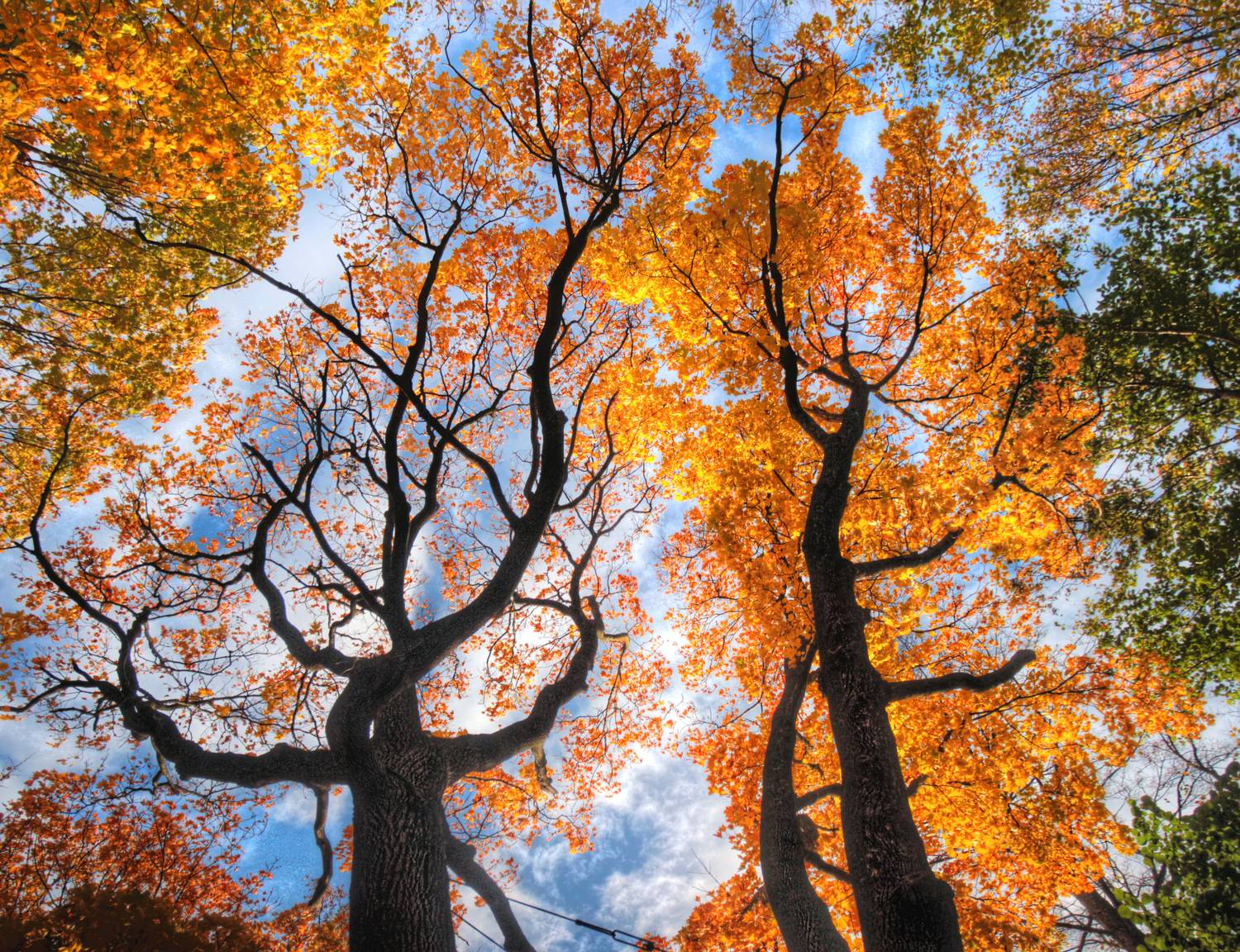 , Сергей Григорьев