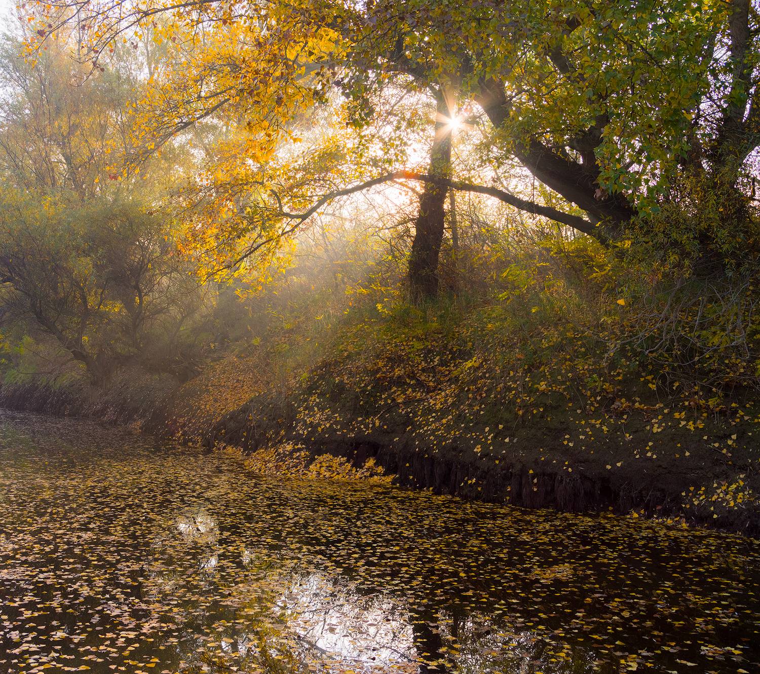 , Любослав Любомиров