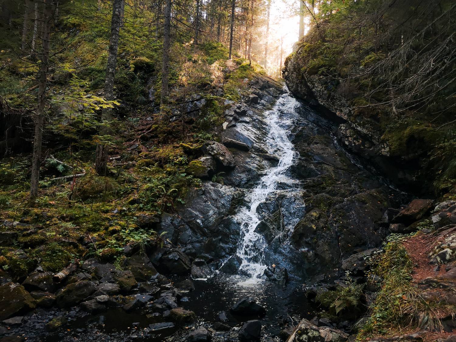 карелия, водопад, молочный, Сергей Савельев