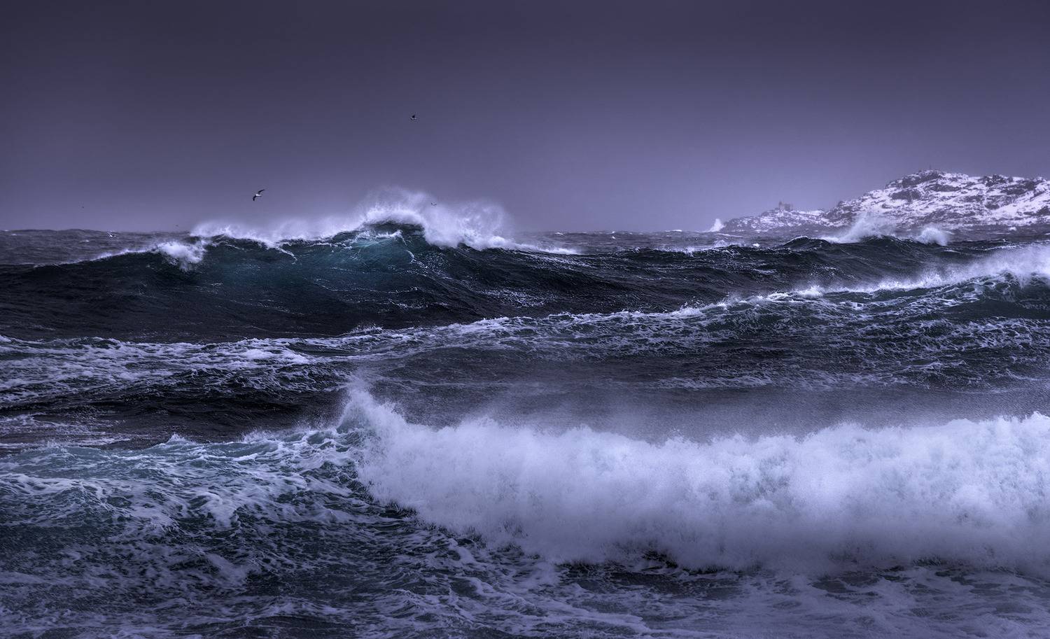 Север, Кольский, Териберка, Королев Сергей