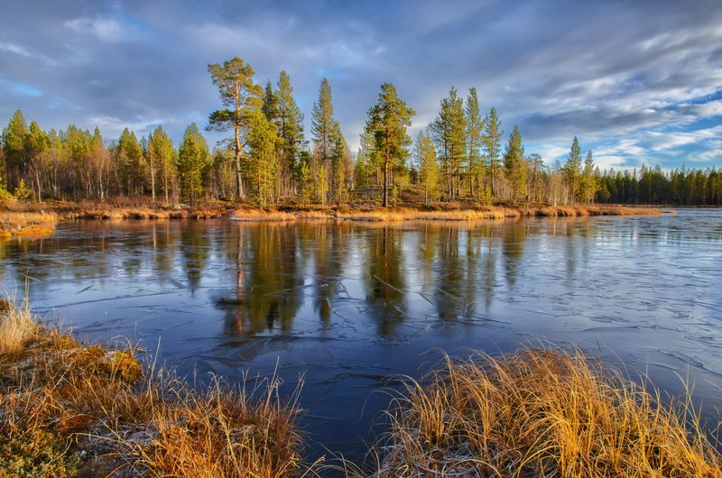 Первый ледок ) фото превью
