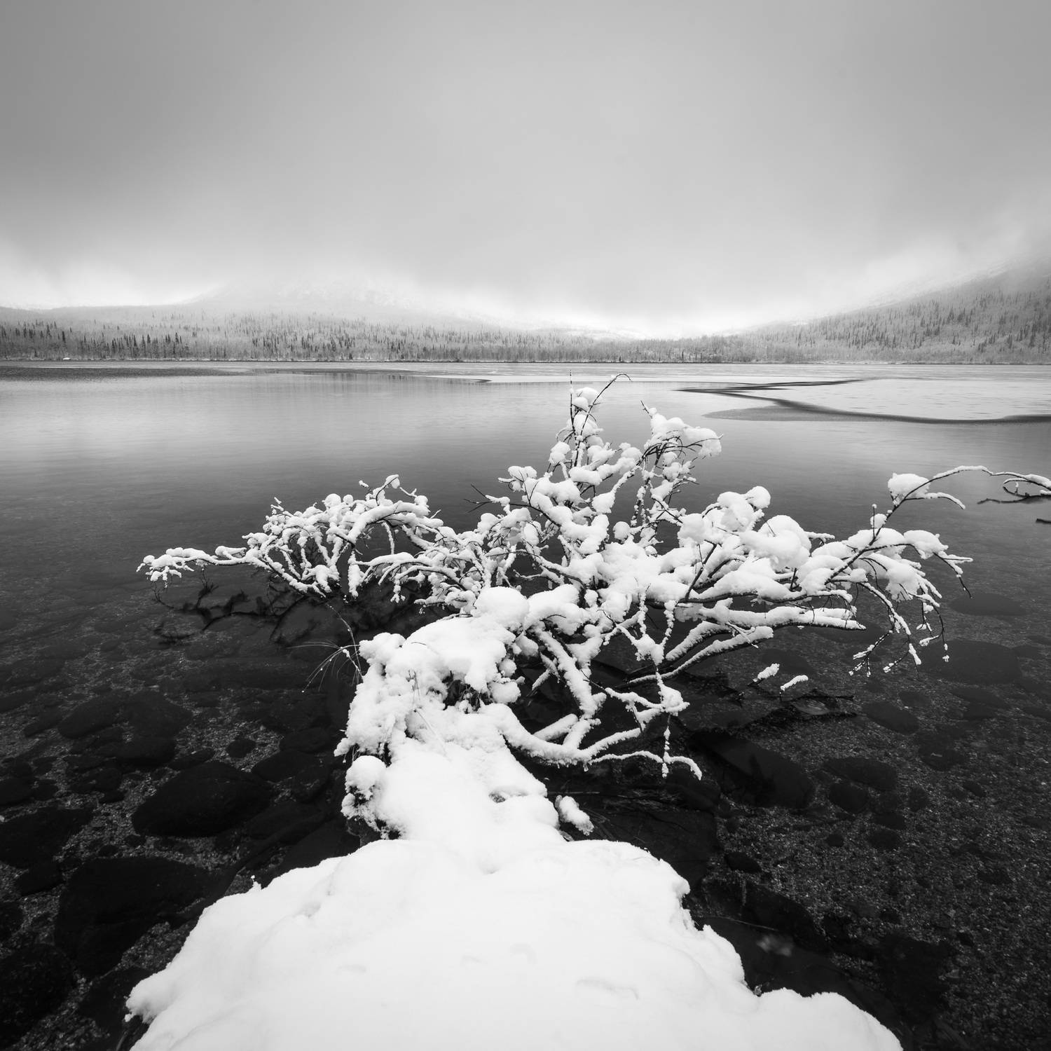 , Ян Сурогин