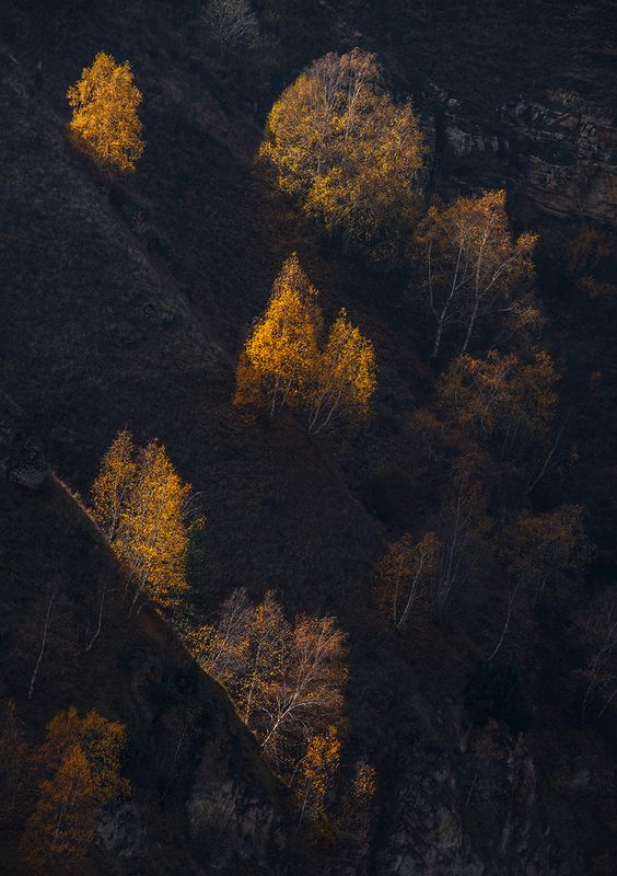 Светотень фото превью