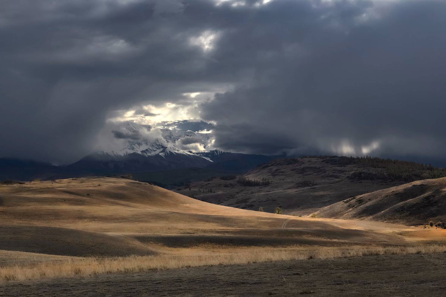 алтай, осень, непогода, северо-чуйский хребет, Марина Фомина