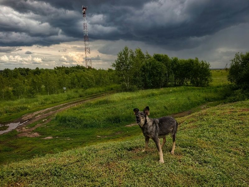 фото превью