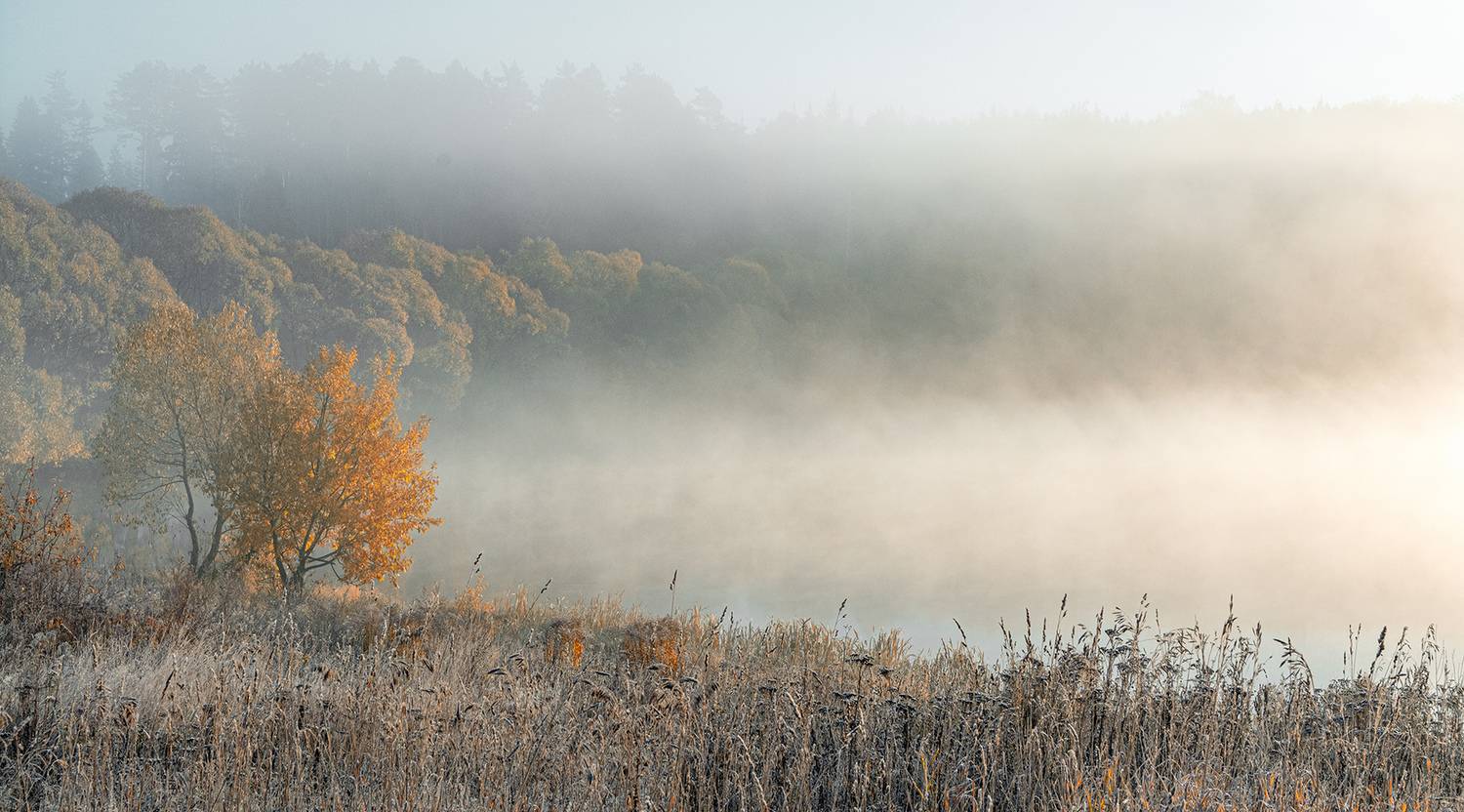 , Анатолий Зверев