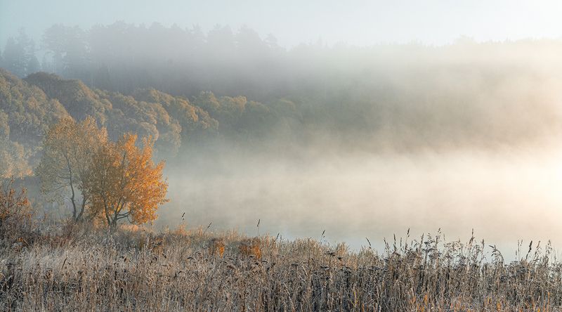 Осенний туман. фото превью