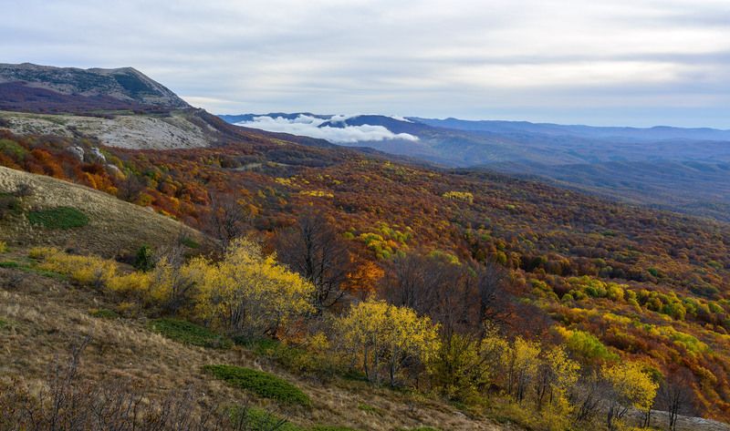 Цвет октября фото превью