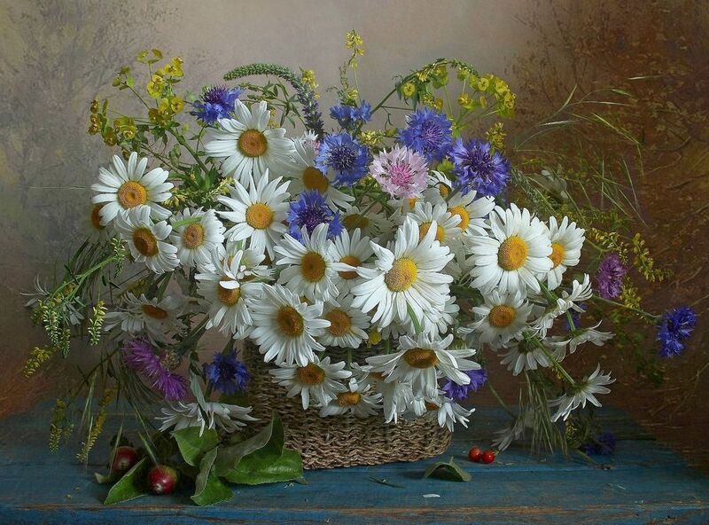 натюрморт, цветы, полевые цветы, лето, марина филатова, ромашки *** фото превью
