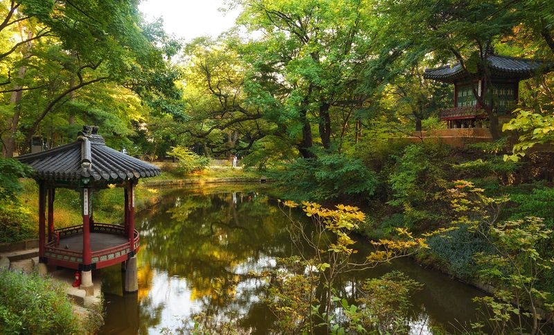 Тайный сад фото превью