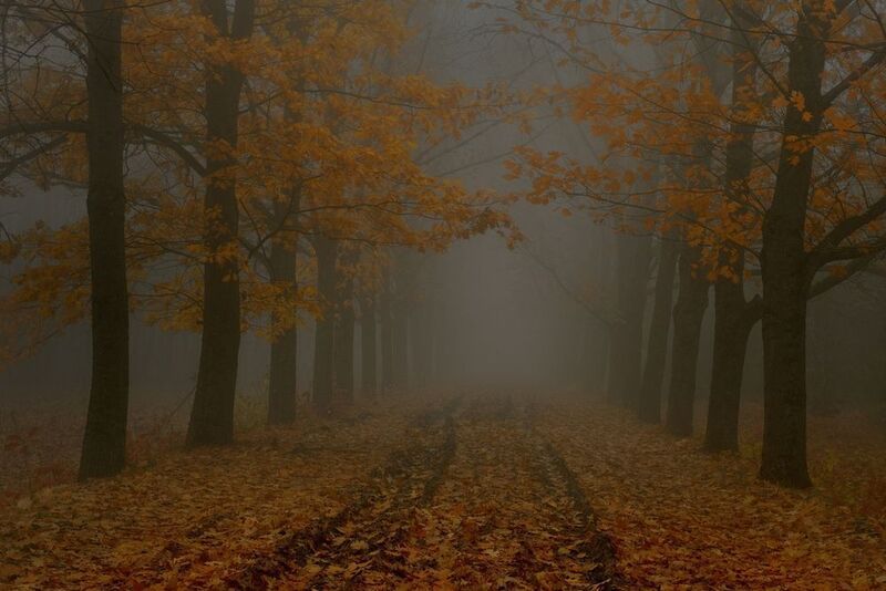 Осеняя дорога фото превью