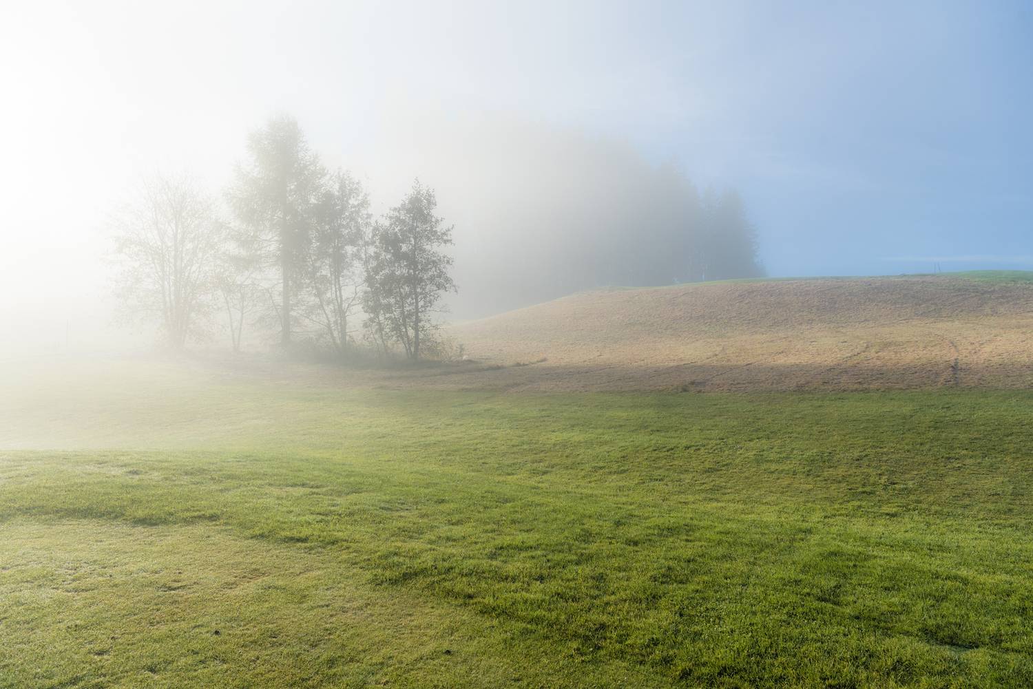 , Руслан Авдевич