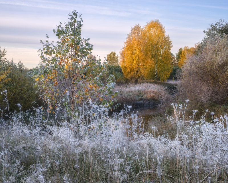 Морозное украшение осеннего утра фото превью