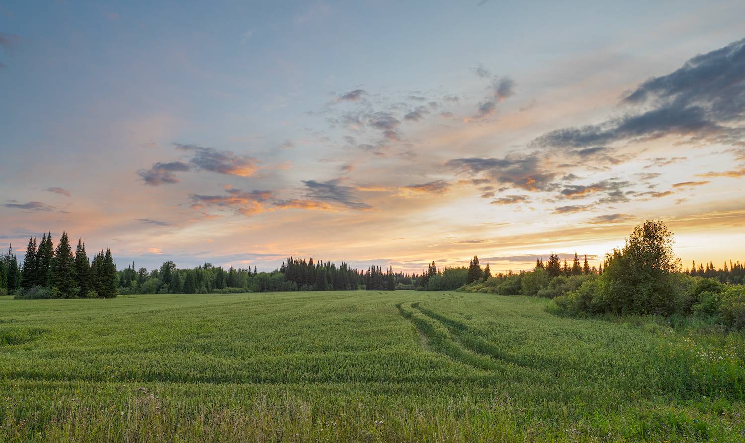 , Литвиненко Денис