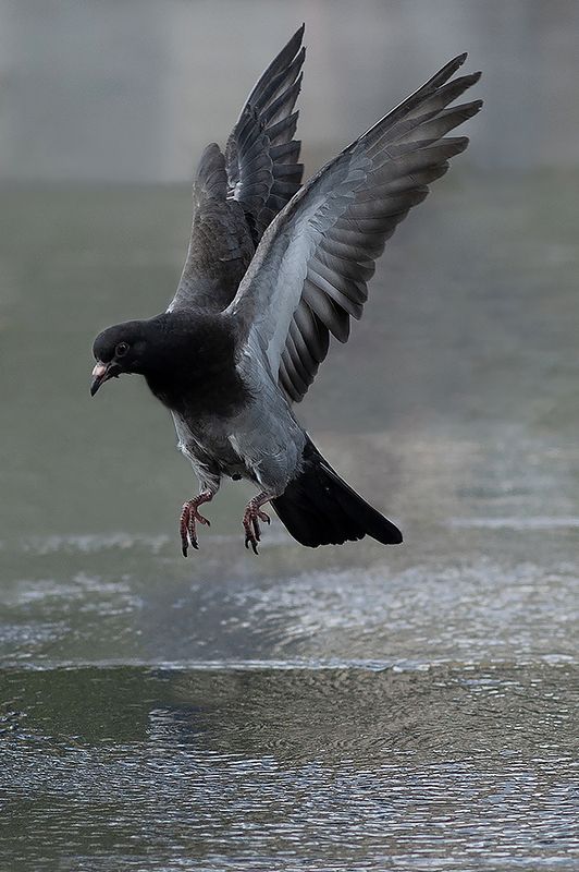 Untitled# 2 фото превью