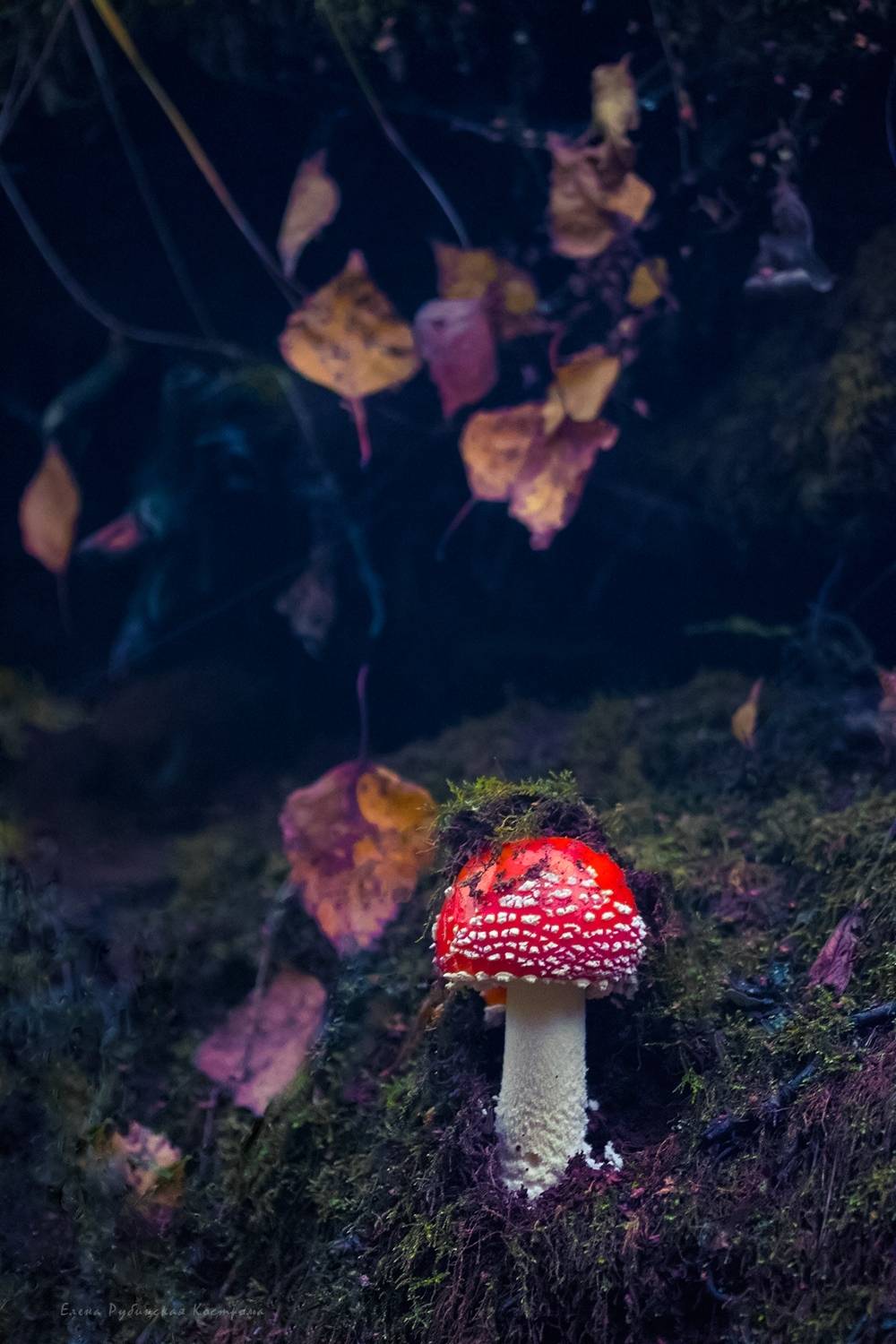 , Елена Рубинская