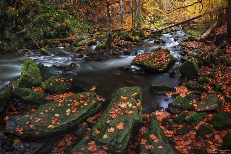 On the Autumn Stream фото превью