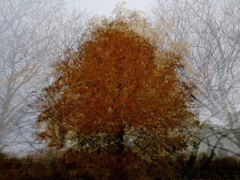 . фото превью