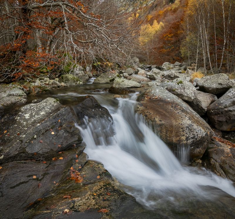 photography, mountain, autumn, flower, landscape, photo, awakening, flowers, land, landmark, lands, dramatic ligth, ligth, mountains Hayedo sin fin фото превью