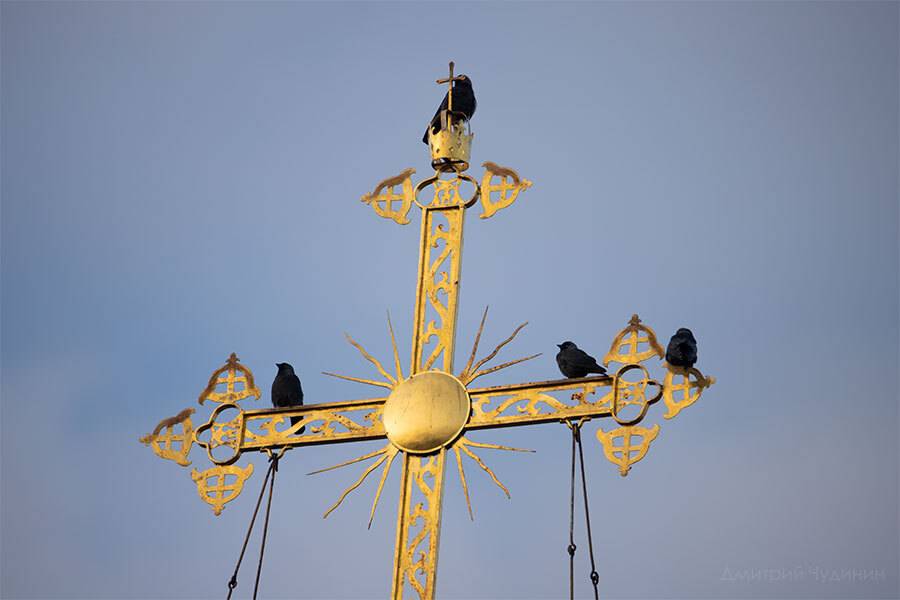 , Чудинин Дмитрий