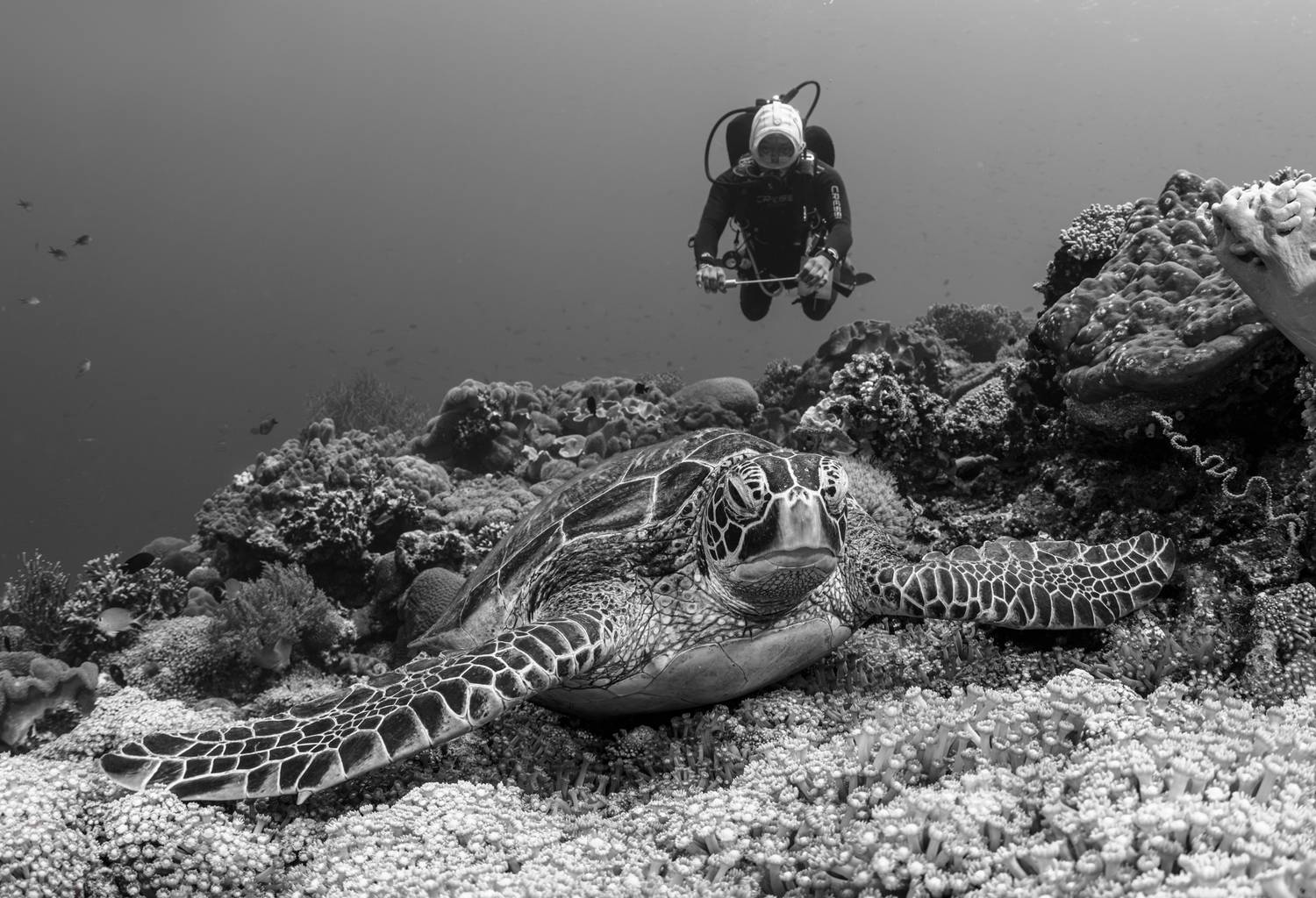 , Савин Андрей