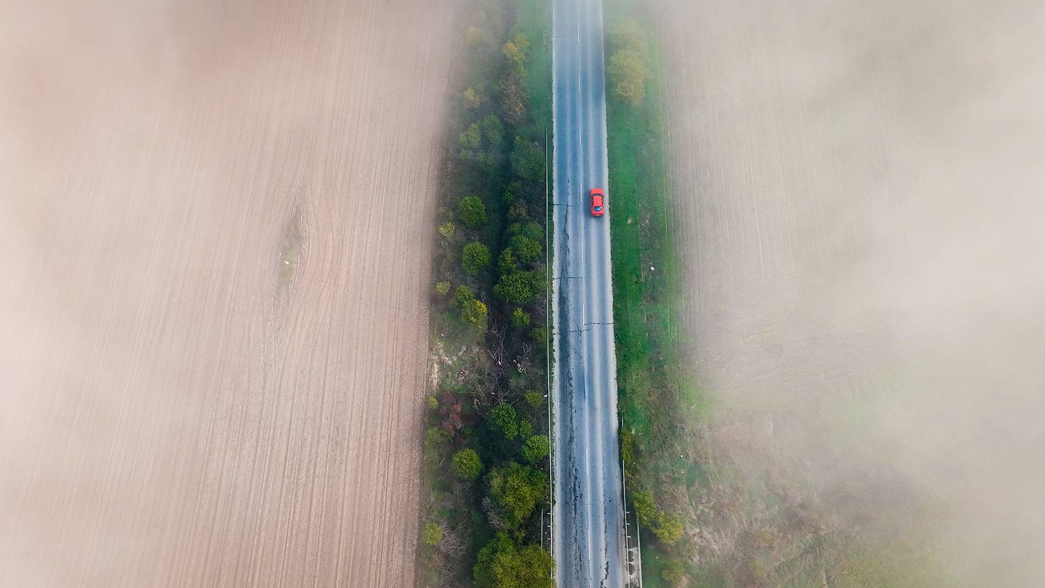 , Тодор Божков