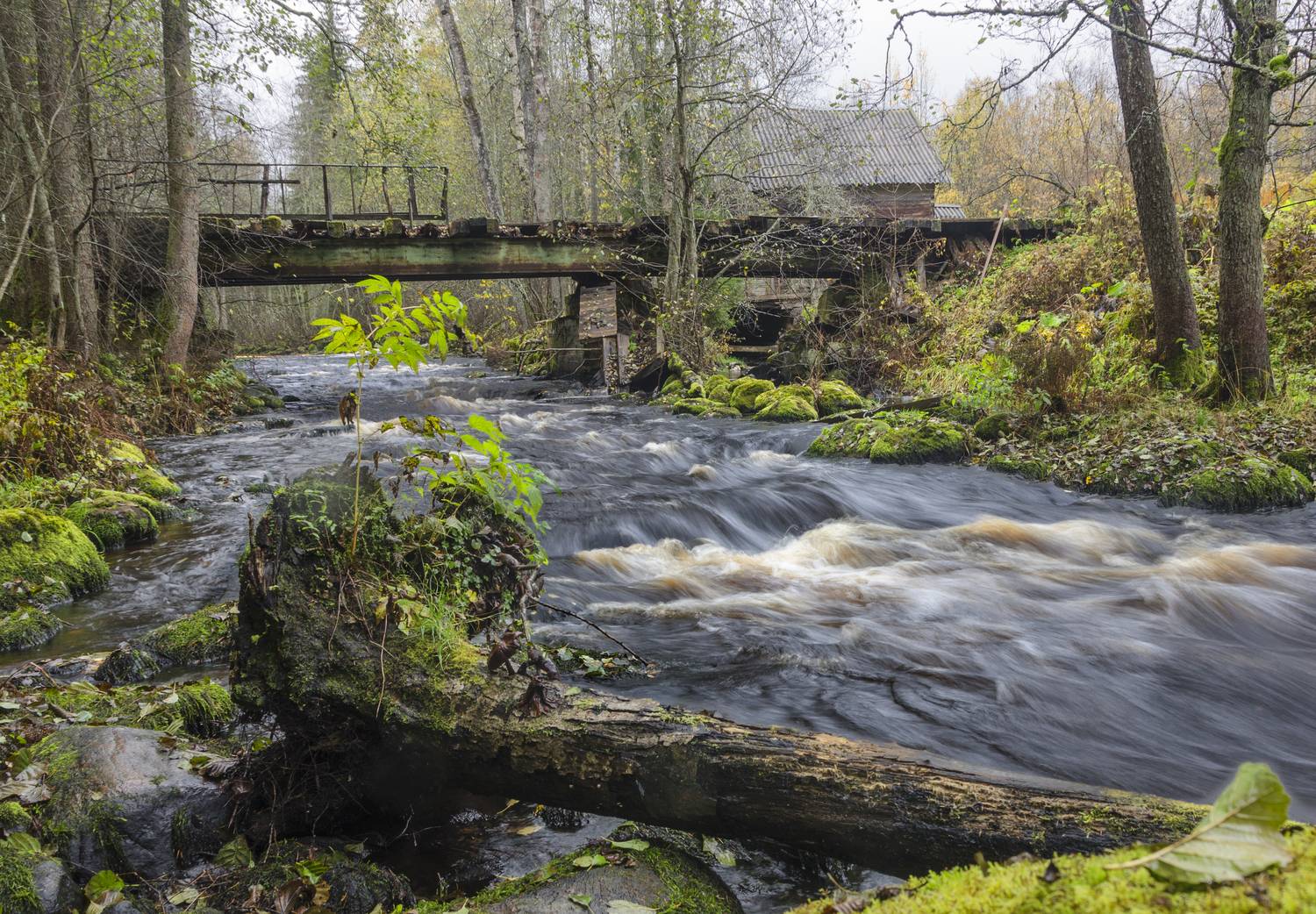 , Алексей Алешин