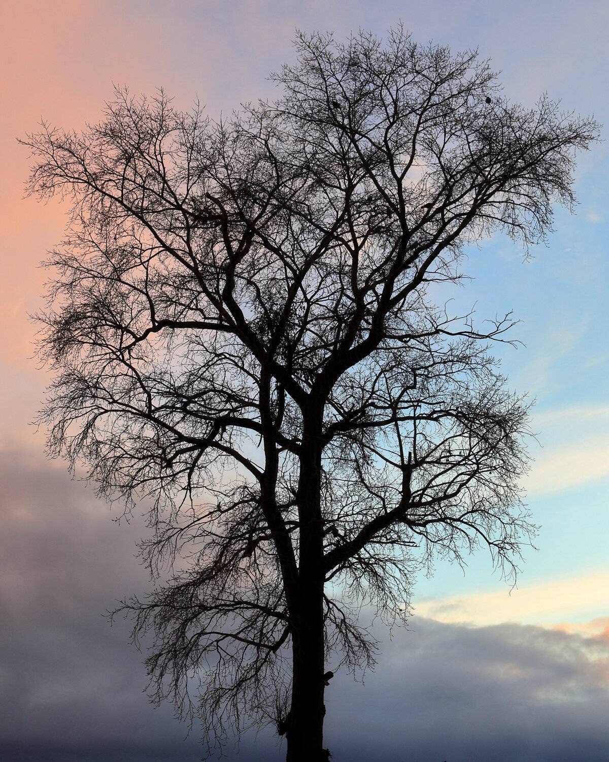 , Александр Титов