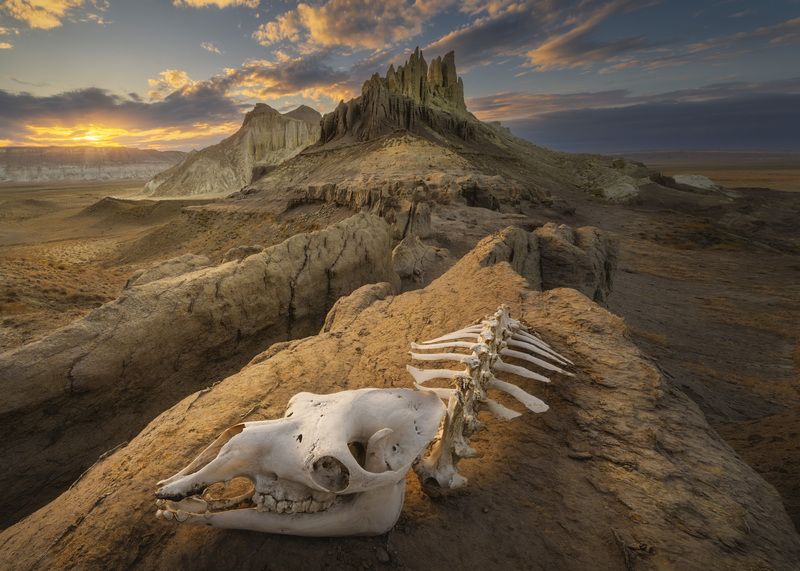 Айракты фото превью