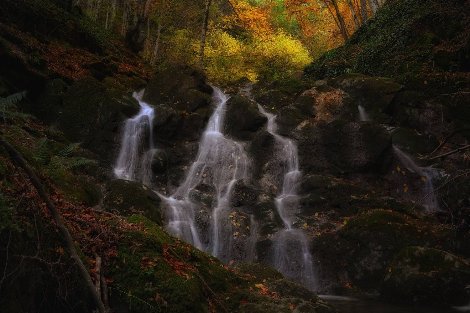 , Юлияна Стоянова