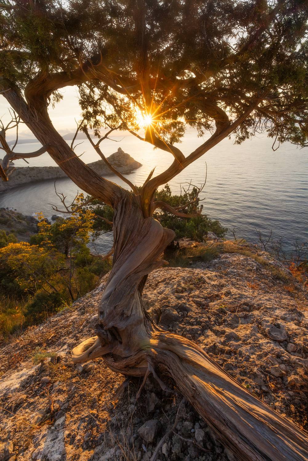 , Костенко Александр