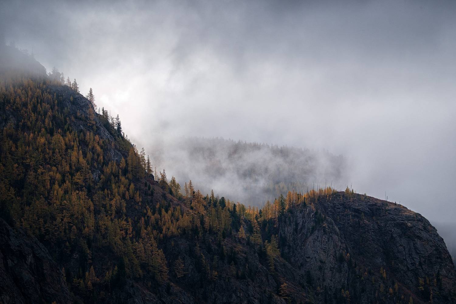 , Бодрягин Виталий