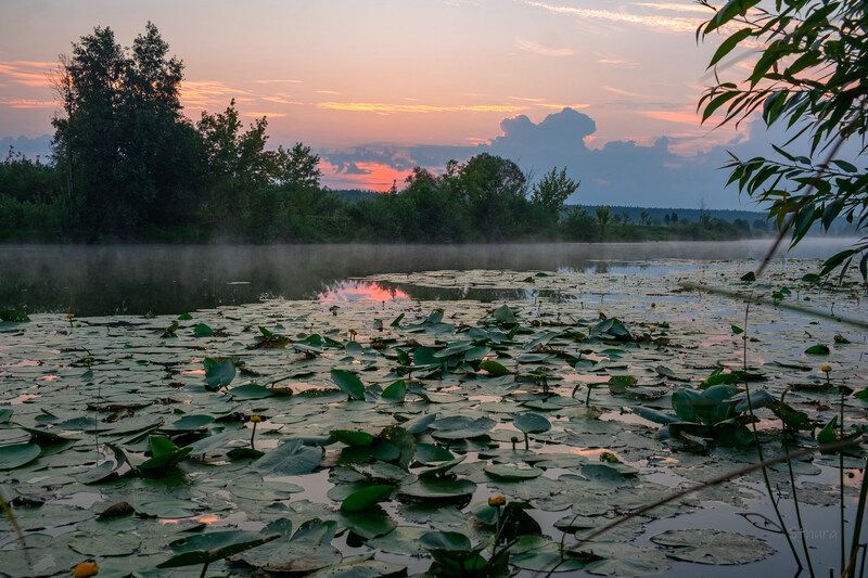 лето озеро рассвет облака природа пейзаж Август. Утро. фото превью