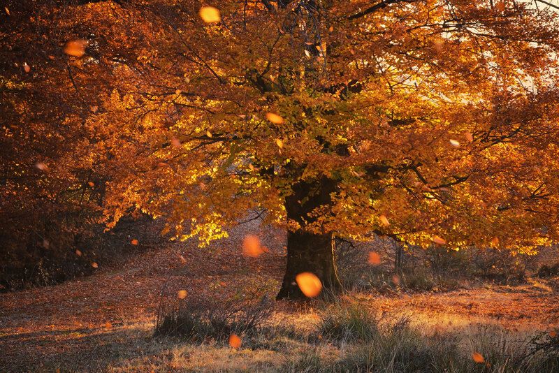 2025 фото превью